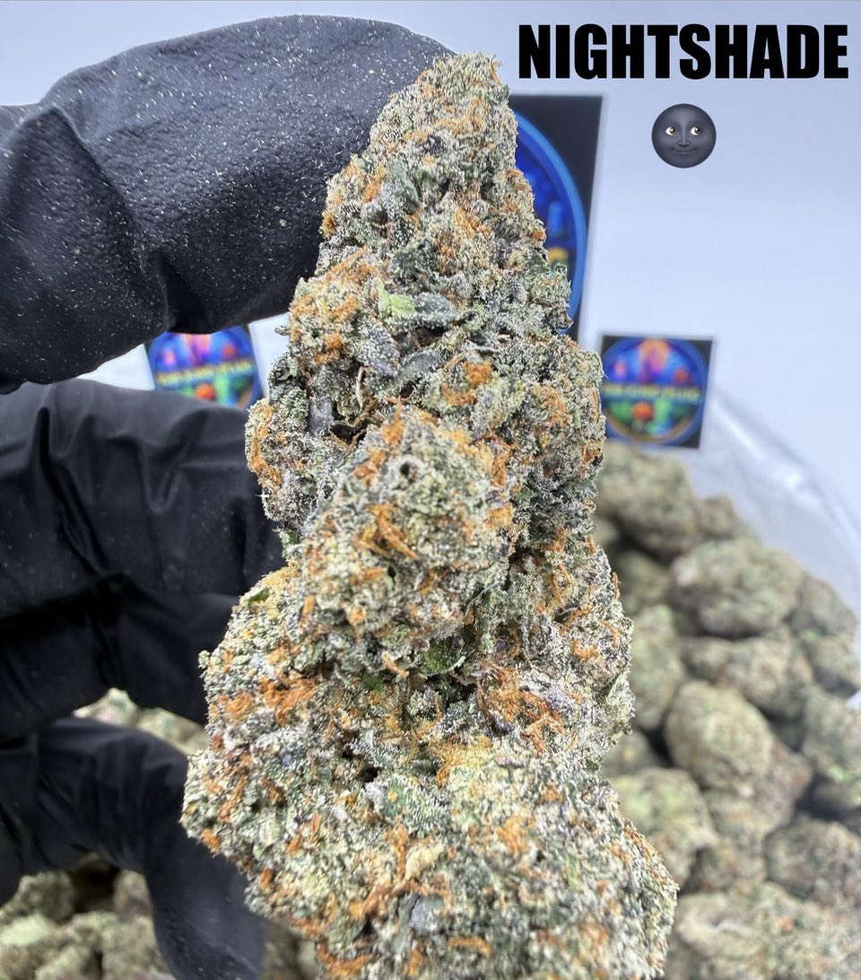  NIGHTSHADE Slide 3